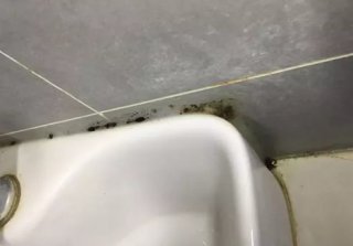 卫生间装修装上这11样东西会让生活更舒适